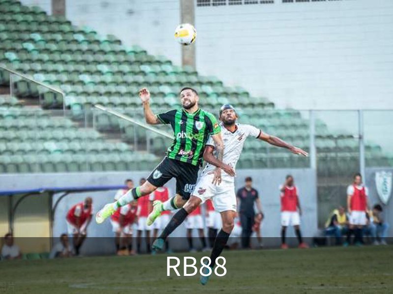 了解RB88